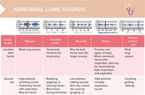 Lung Sounds (Breath Sounds): Types, Causes & Treatment.